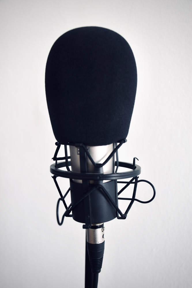Voice Lesson