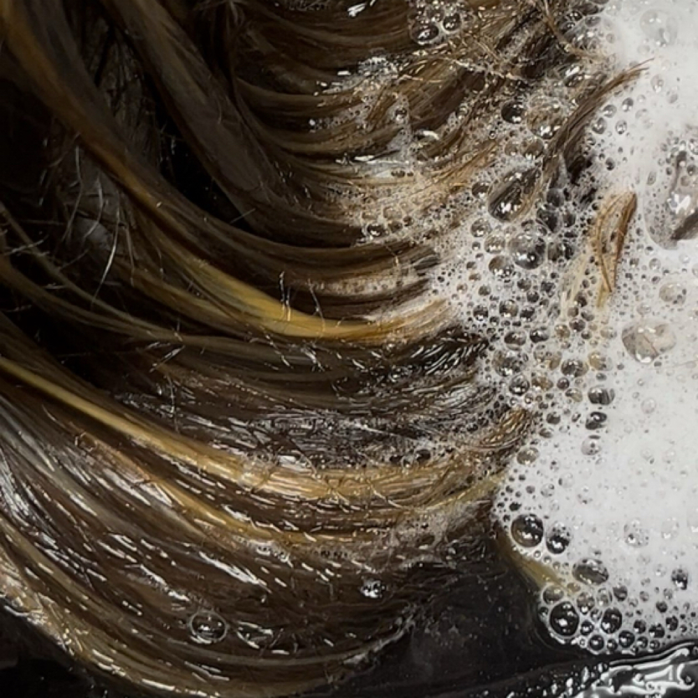 Wash & Style at Studio 23 in Ky, KY