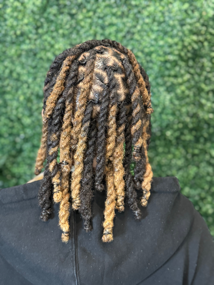 Loc Maintenance 1-12in at Live-N-Loc in Brooklyn, NY