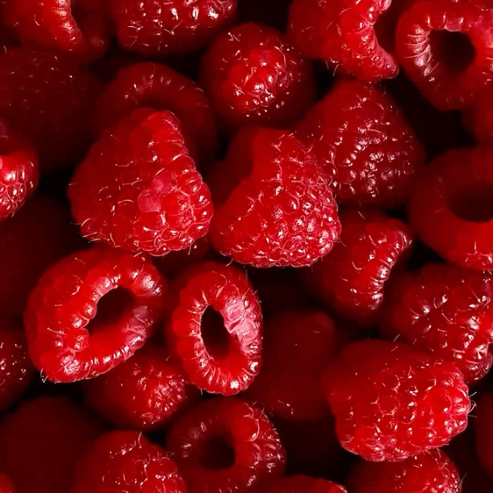 Berry Bliss Facial at Wisteria Beauty in Indianapolis, IN