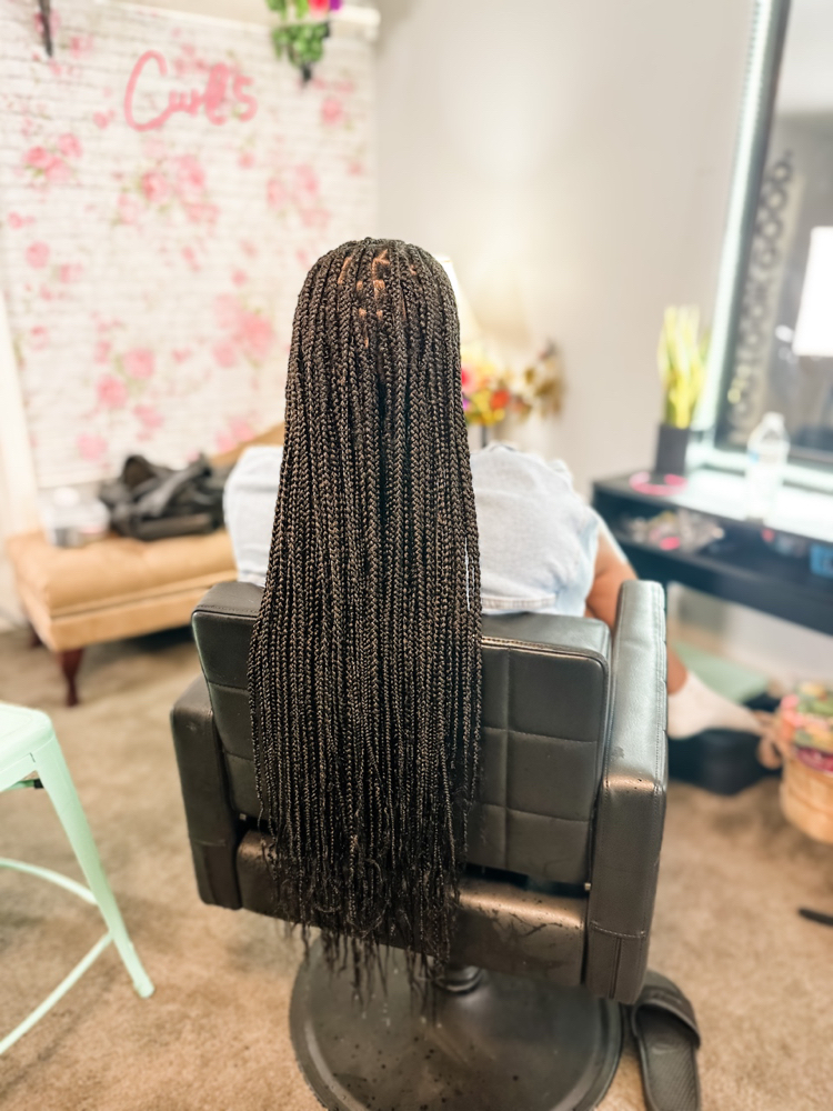 Small Box Braids Lower Back