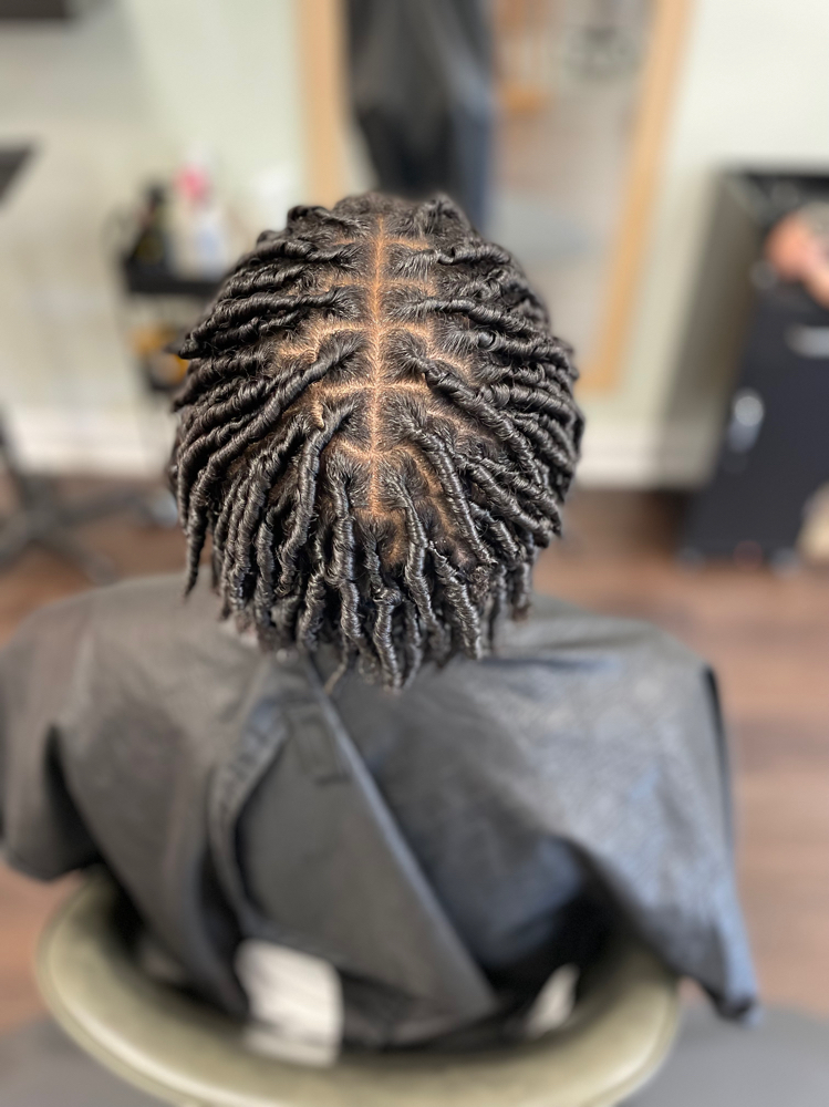 Starter Locs