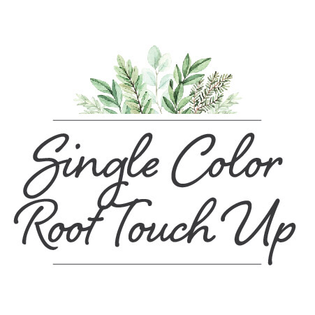 Single Color Root Touch Up