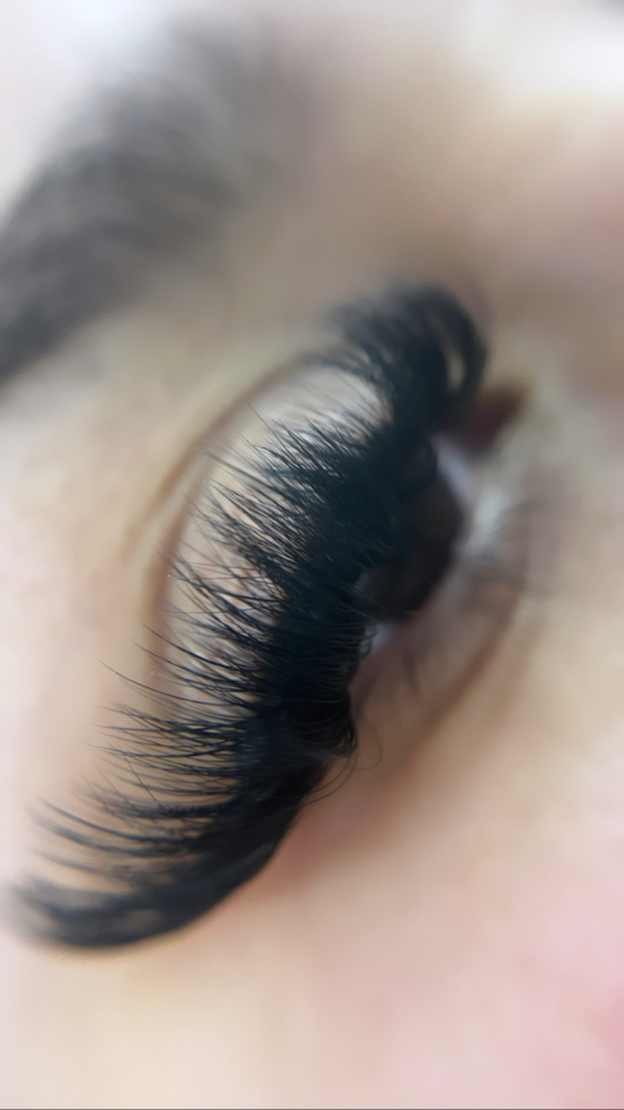 Mega Lash Extentions