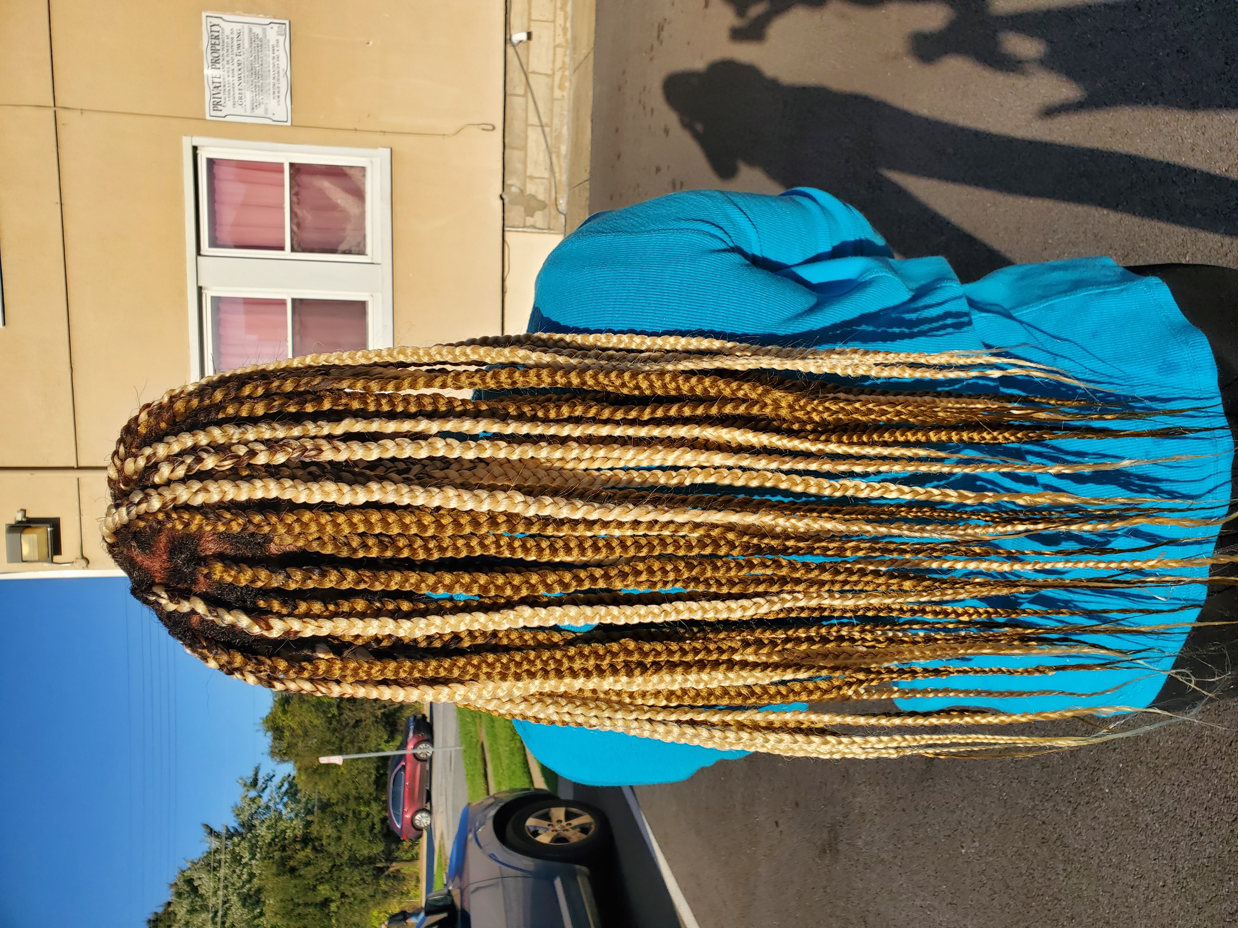 Box Braids/Twist Individual