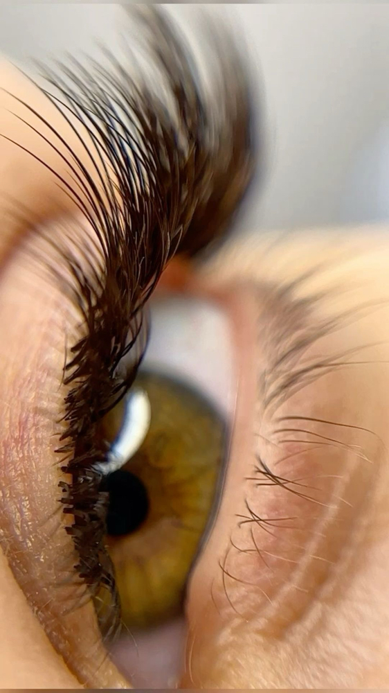 Classic Lash Membership