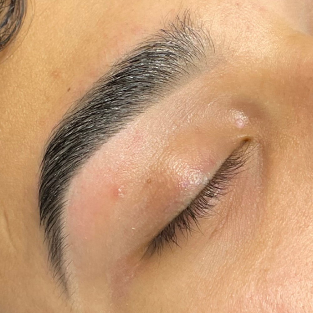 Brow Shape, Wax, & Tint at XO BEAUTY BAR in Valley Stream, NY