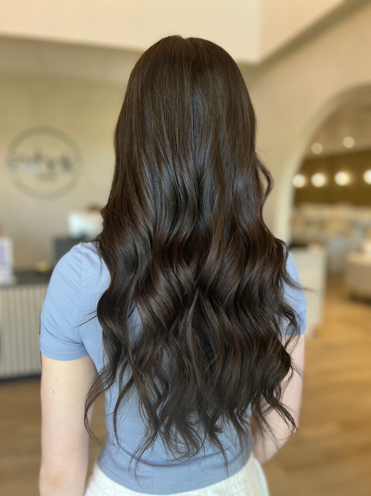All Over Color/ Haircut