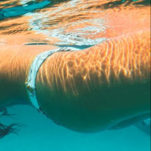 Bikini Full + Hydrojelly Mask at The Waxing Collective - Home Of The Waxing Experts in San Jose, CA