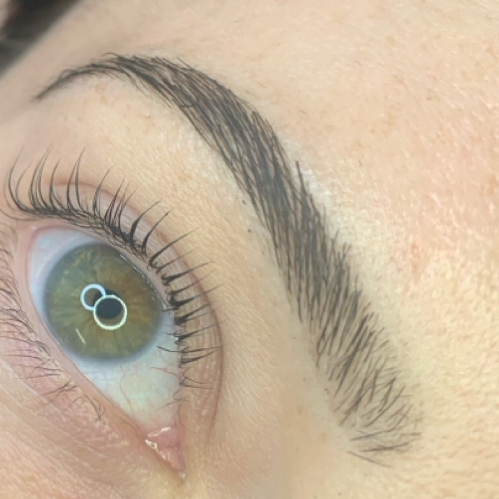 Brow Wax and Tint