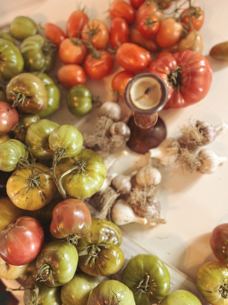 Shampoo & Blowdry at Jordan Eliza in Benton, ME