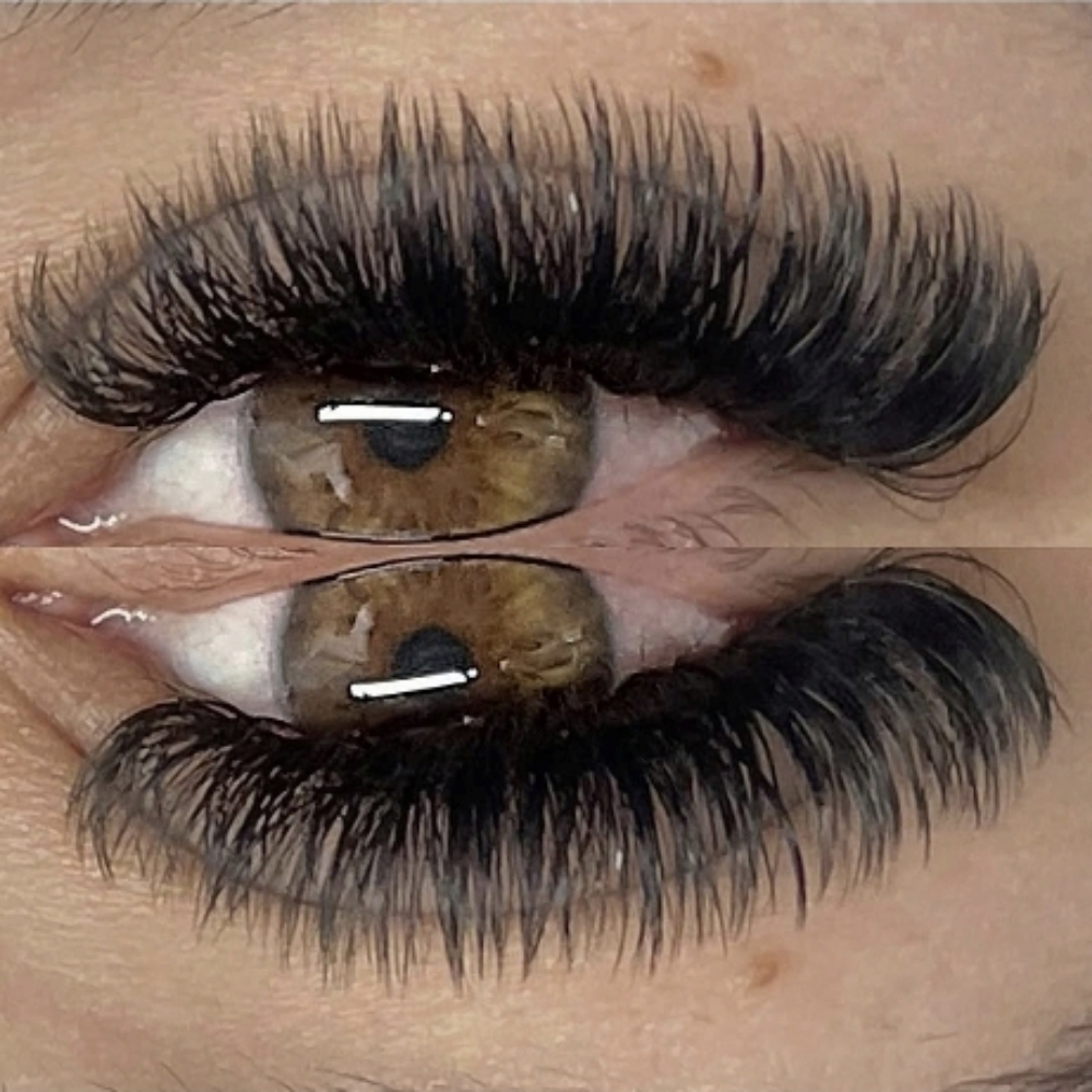 Volumen wispy y Megavolumen set com at Dream lashes and brows in Glendale, AZ