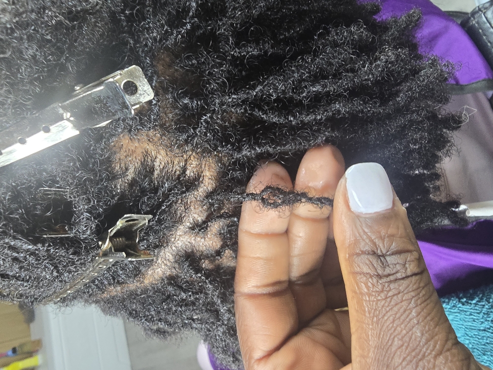 Mini Maintenance at Graceful Hands Locs by Bee in Des Moines, IA
