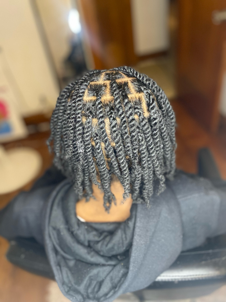Two Strand Twist (not Locs)