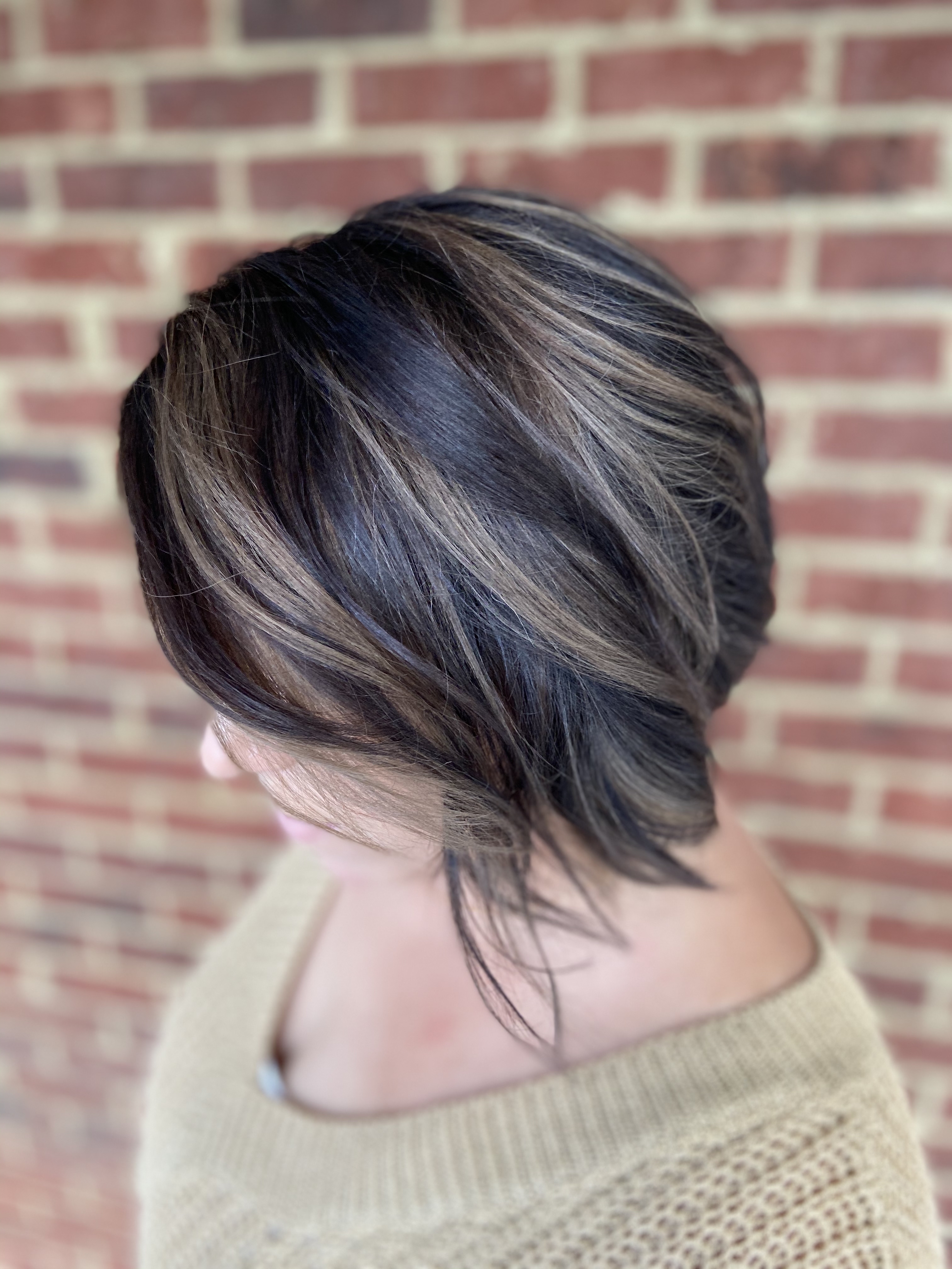 Shampoo+Cut+Style