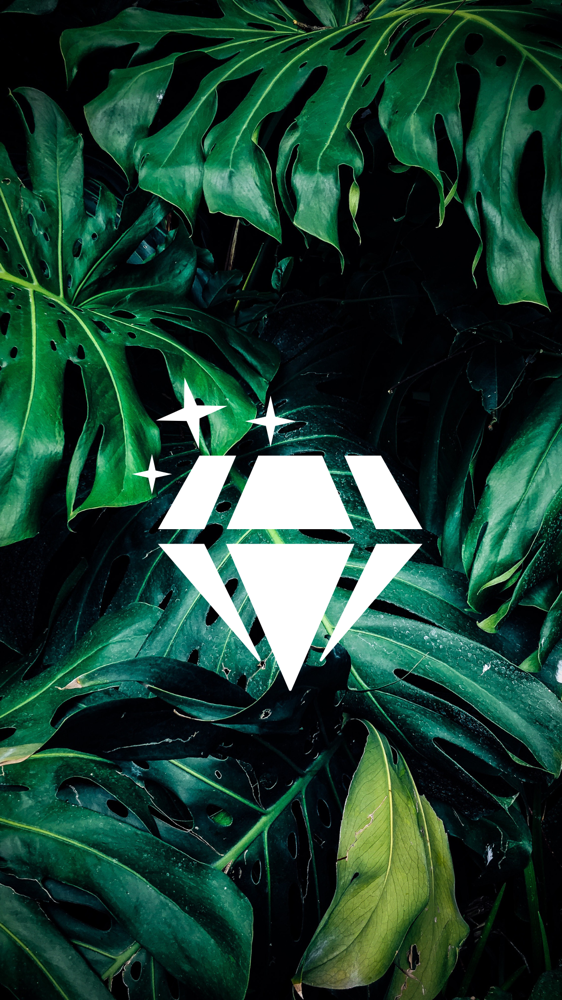 Add Ons: Bling