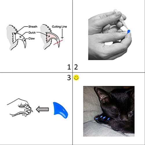 CAT NAIL CAP APPLICATION