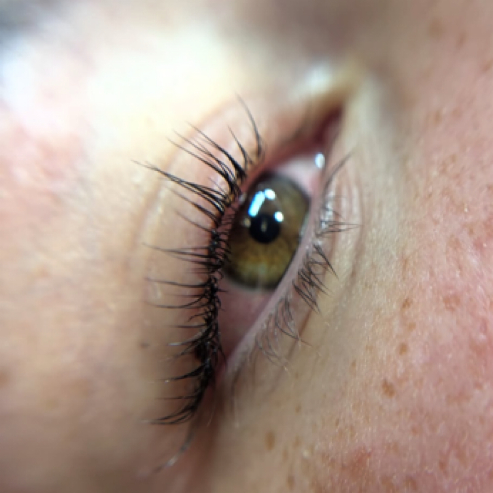 Korean Lash Lift at Vibe Wellness & Med Spa in Eagar, AZ
