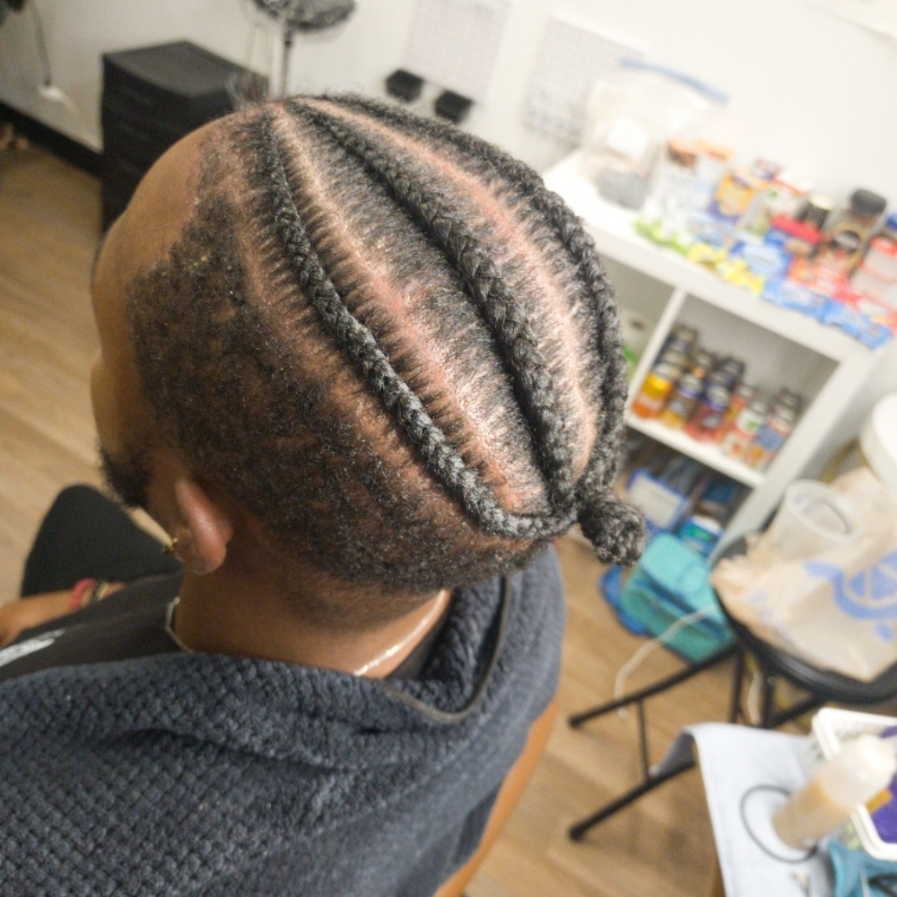 Braids Or 2 Strand Twists at Royal Ascension Work in Arlington, TX