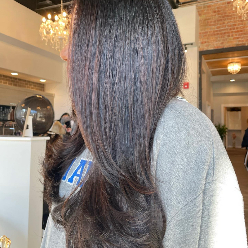 Partial Foilyage & Haircut at BLOOM Beauty & Brows in Geneva, IL