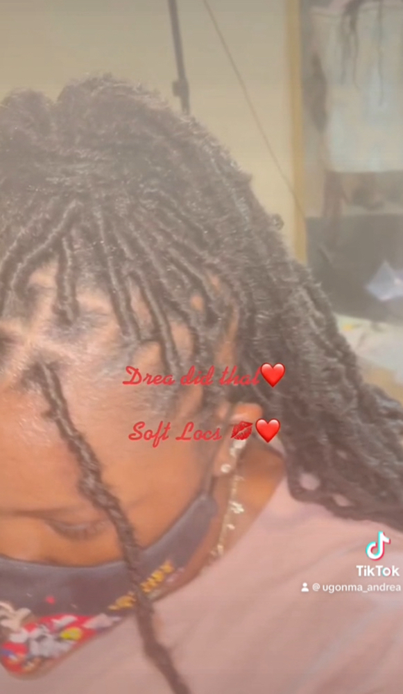 Faux Locs Soft Locs