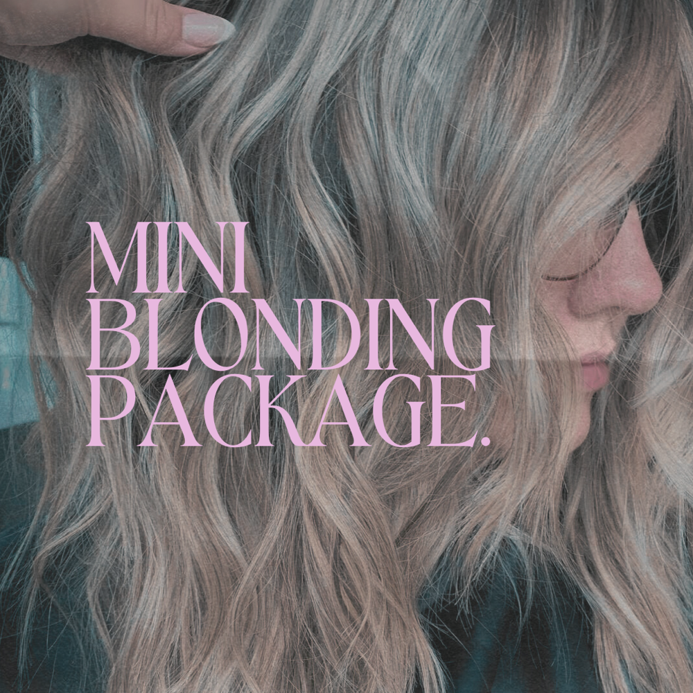 The Mini Blonding Package