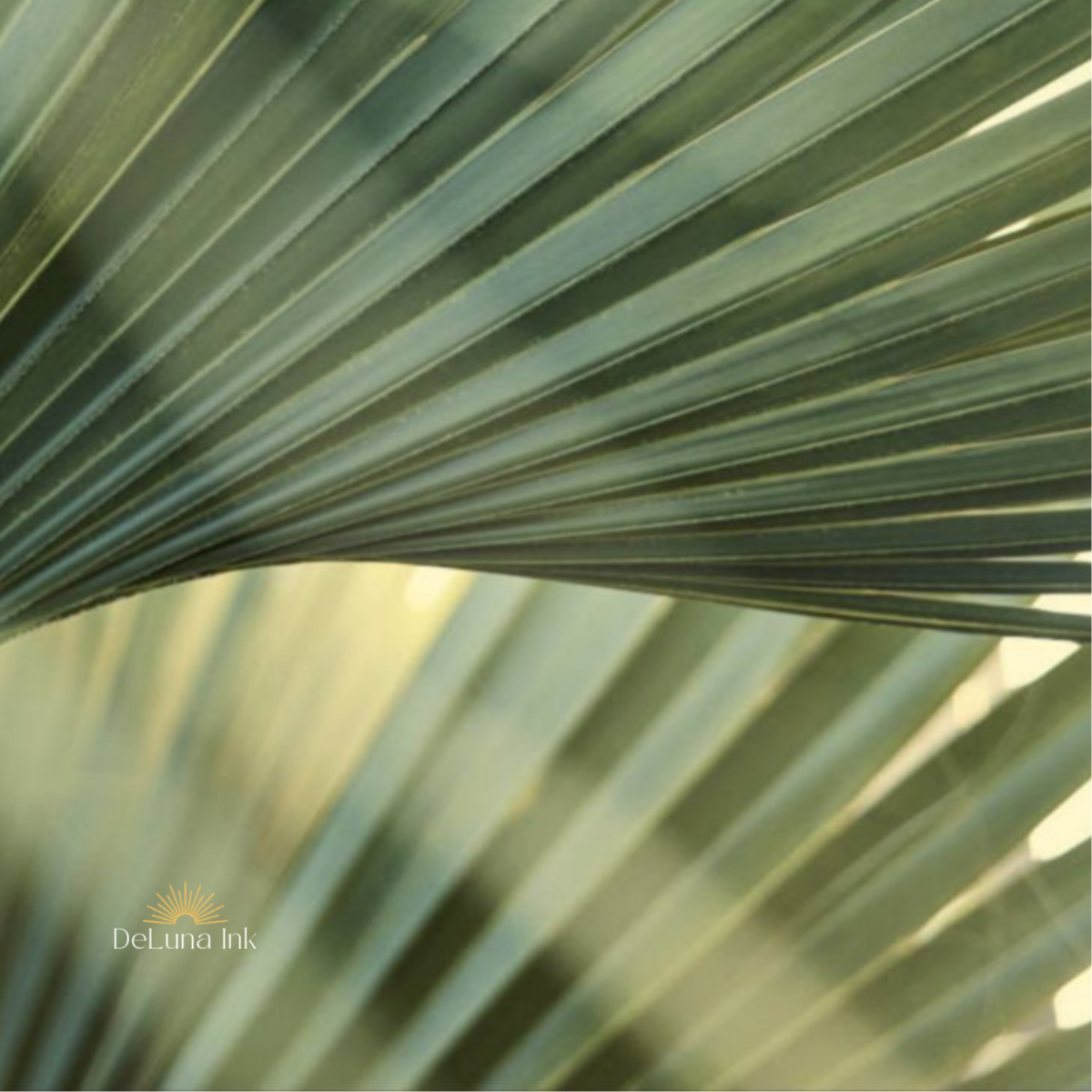 Half Day at DeLuna Ink in Ponte Vedra Beach, FL