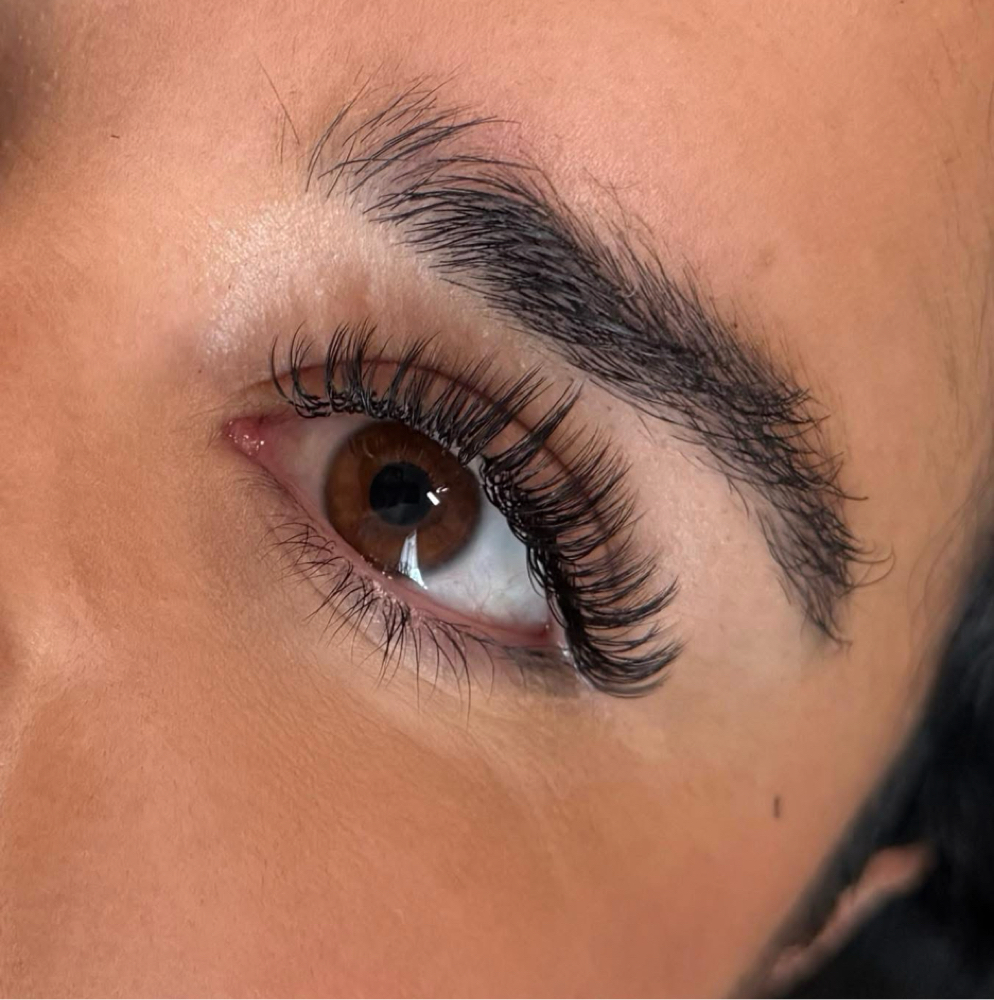 Fill In - Wet Lashes at ˚.⋆The Esthetic Apothecary⋆.˚ in Baxley, GA