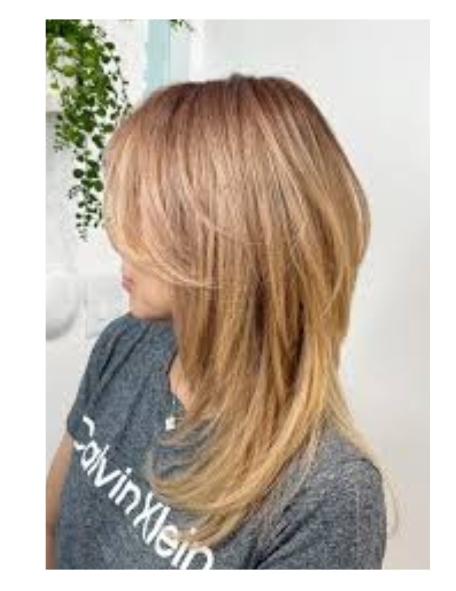Women's Haircut