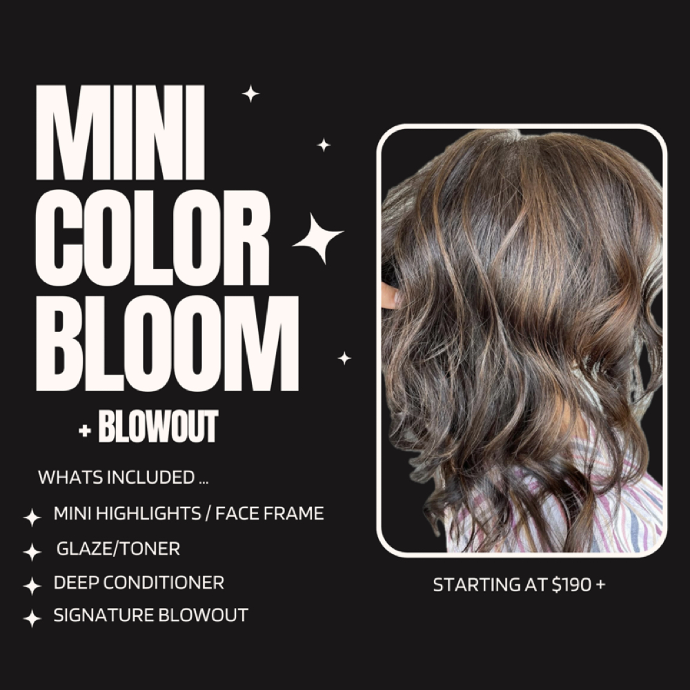 Mini Color Bloom + Blowout at The Mane Garden Salon in Huntington, NY