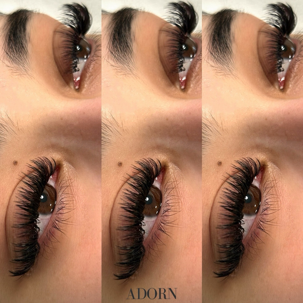Lash Extensions (Full Set) at Adorn Lashes + Sugaring in Bremerton, WA