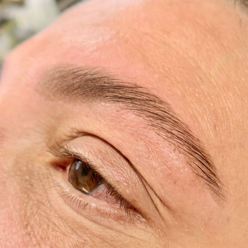 Brow Lamination at Beyond the Skin in North Chelmsford, MA