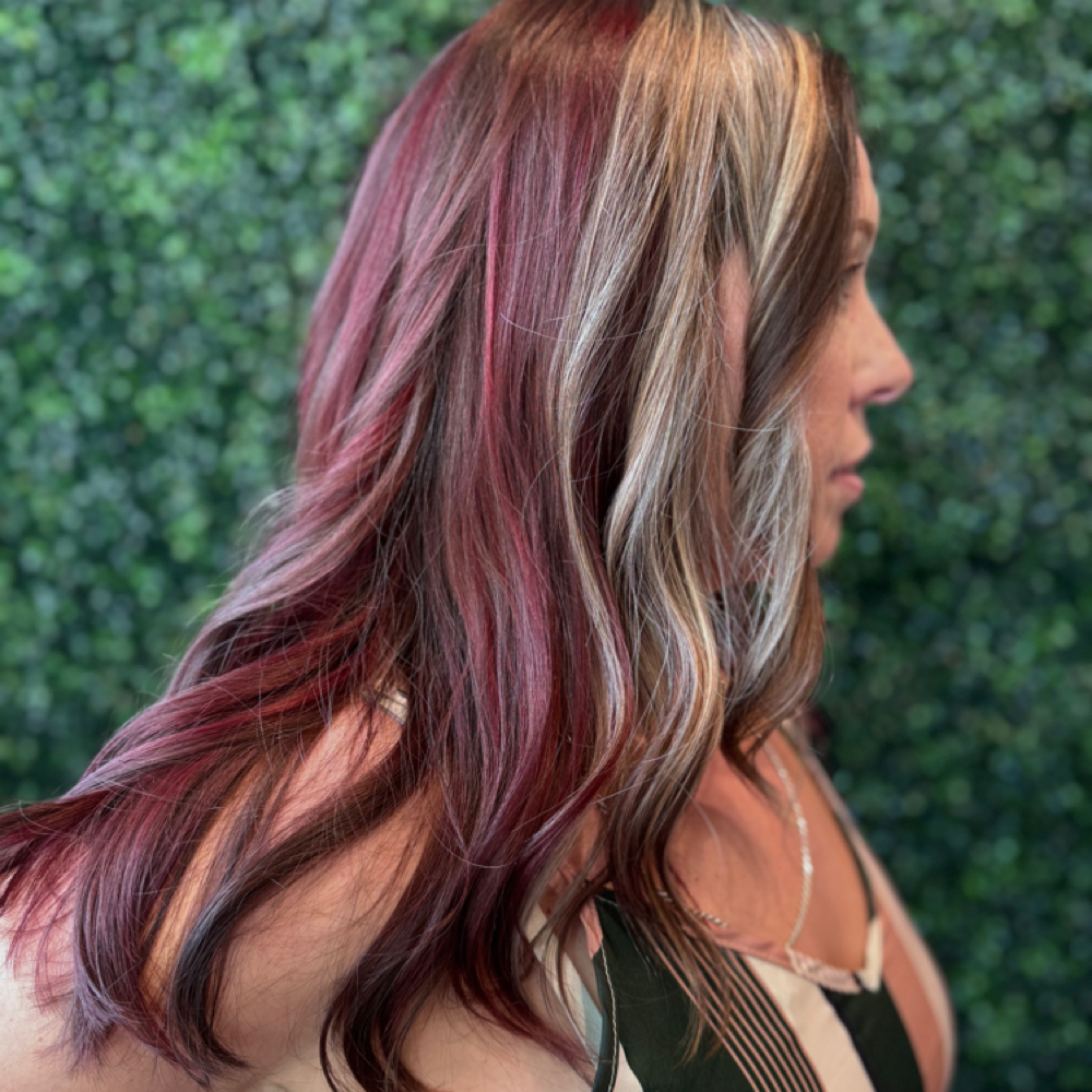 Shout  Color with Haircut at Colour Thairapy Salon in Wichita, KS