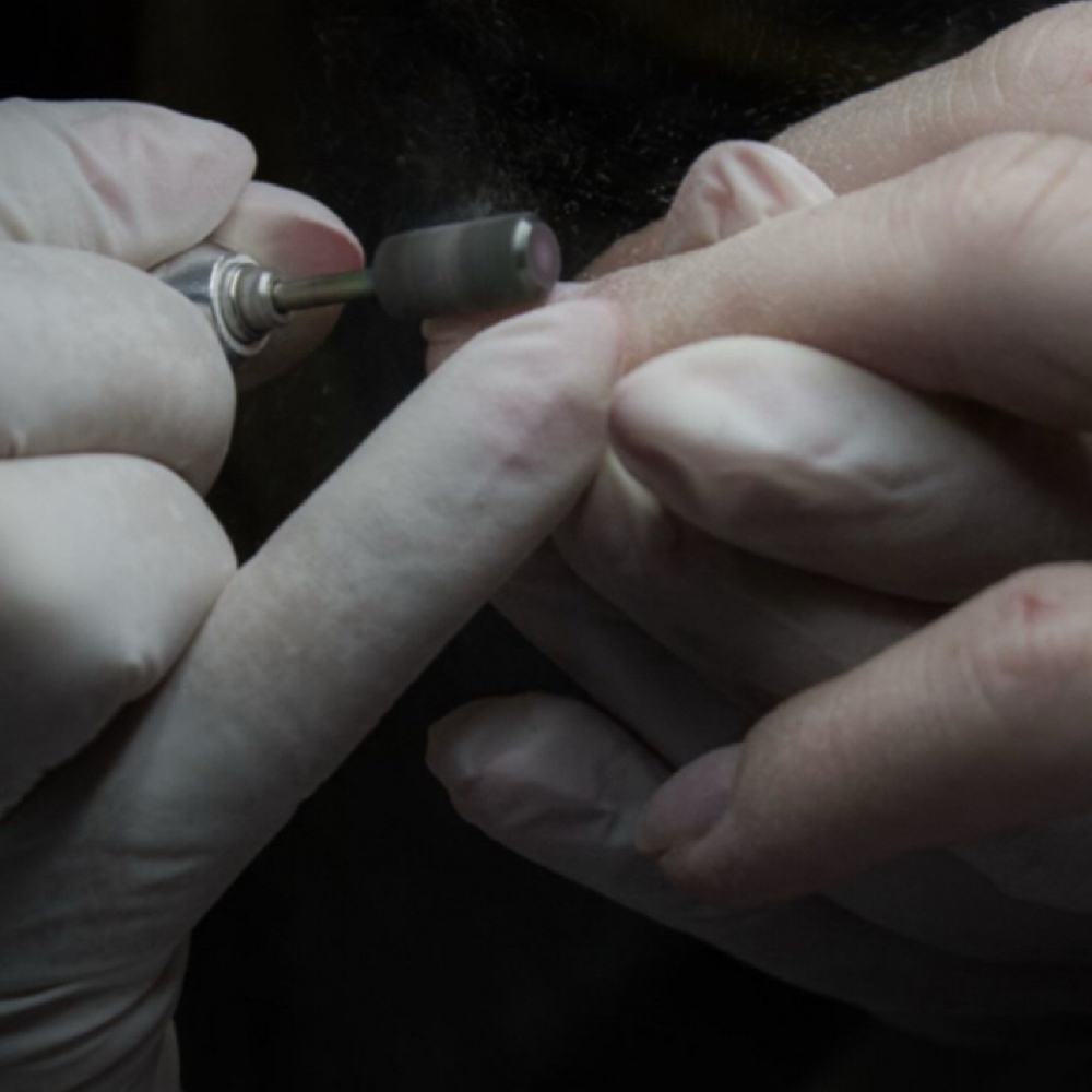 Removal at The Nail Room by Lisset in Audubon, IA