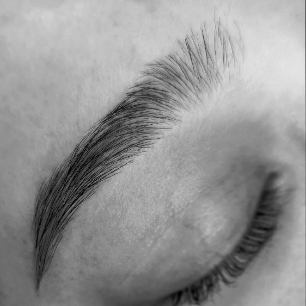 Brow Wax at The Neon Door in Tucson, AZ
