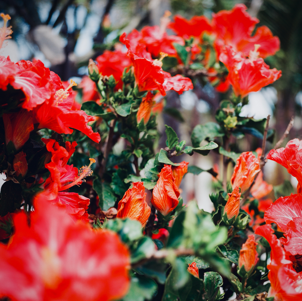 Custom Highlight Touch Up