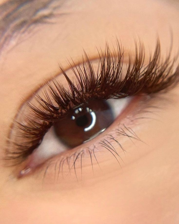 Eyelash Extension Brazilian Volume