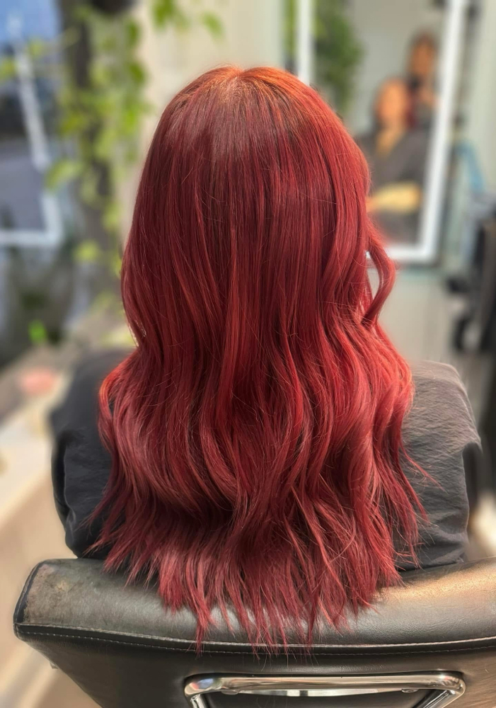 Single Color-No Haircut at Hair By Lacie in Marrero, LA