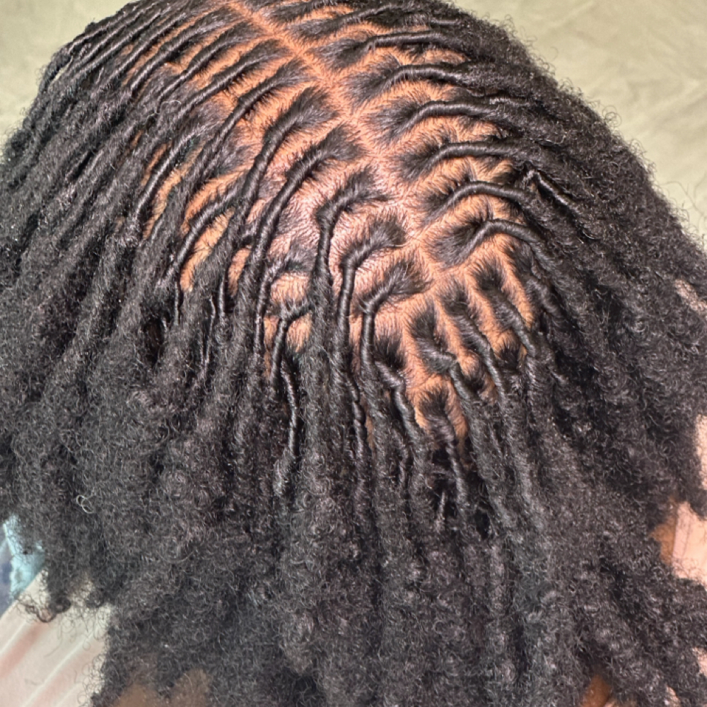 Insta locs/Reattachment at Kinked in 98 in Wa, WA