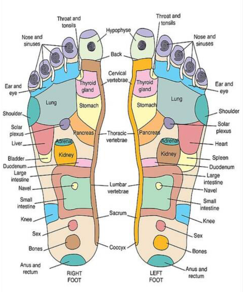 Reflexology foot massage