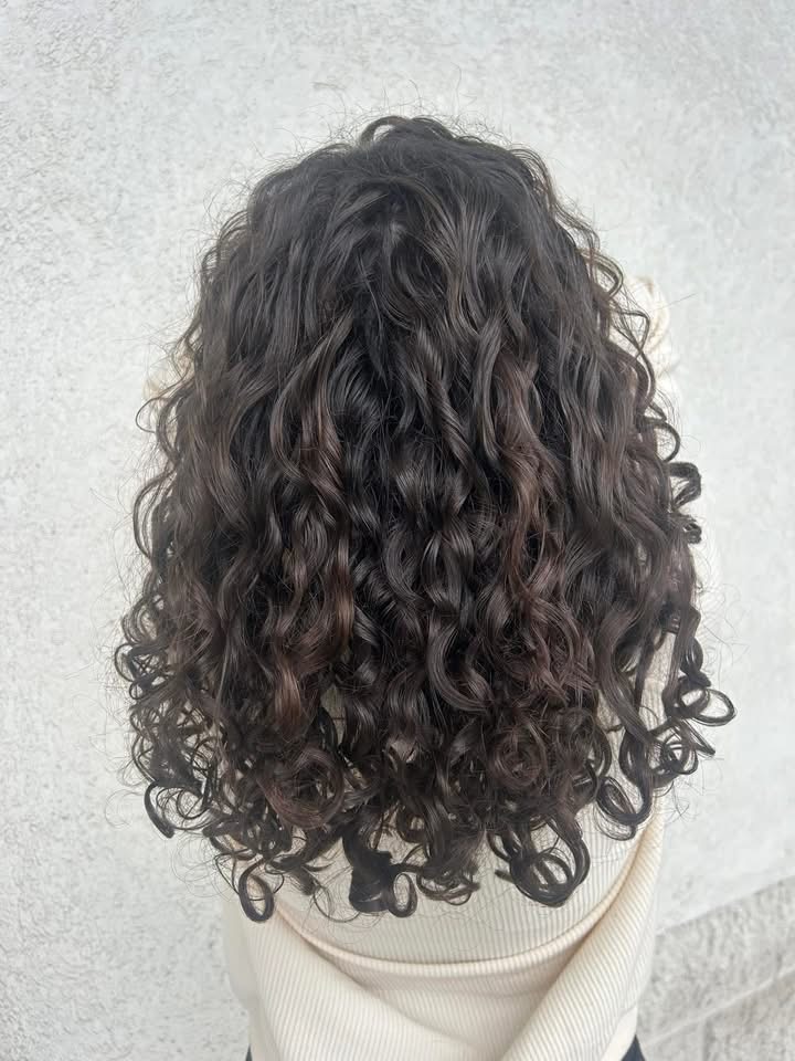 Curly Cut Experience
