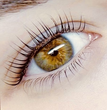 Lash Lift (optional tint included)
