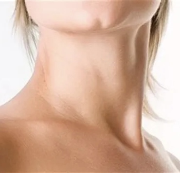 Neck