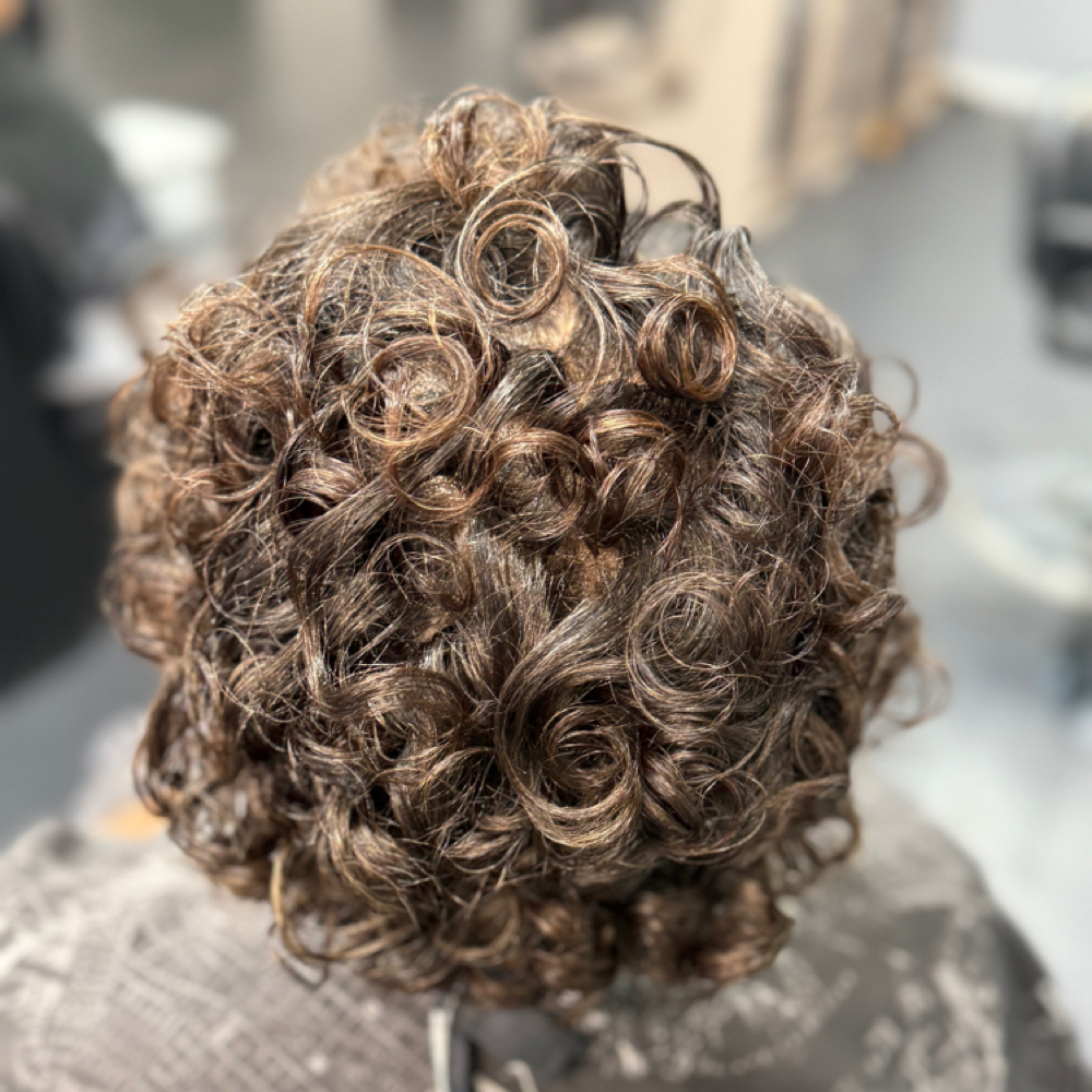 Shampoo Style—Cut & Style