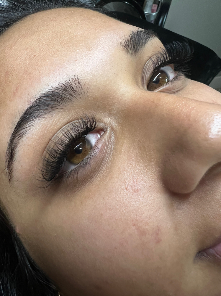 Hybrid Lashes