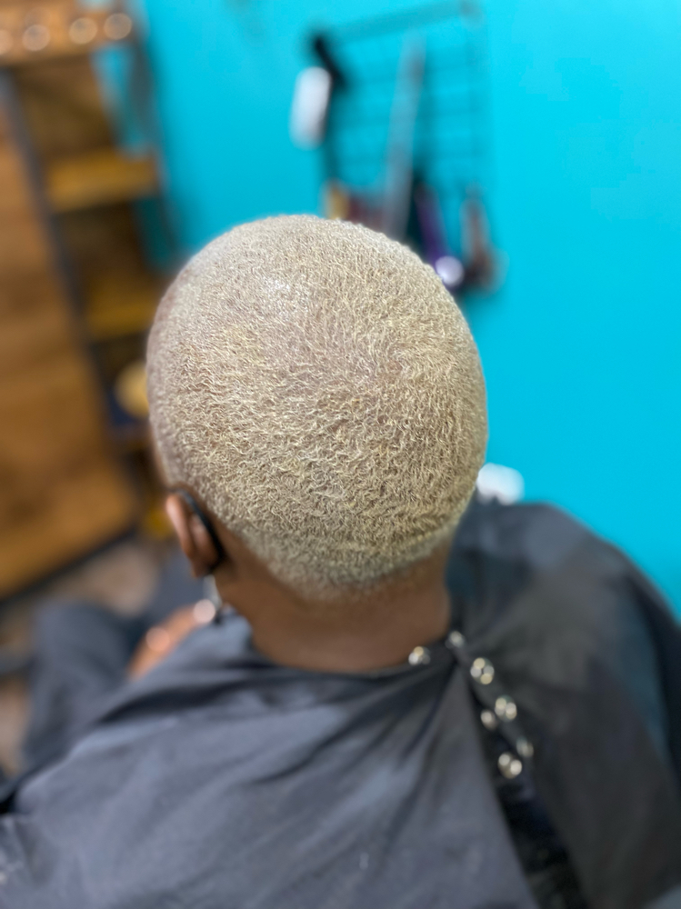 Single Step Full Head Color Service