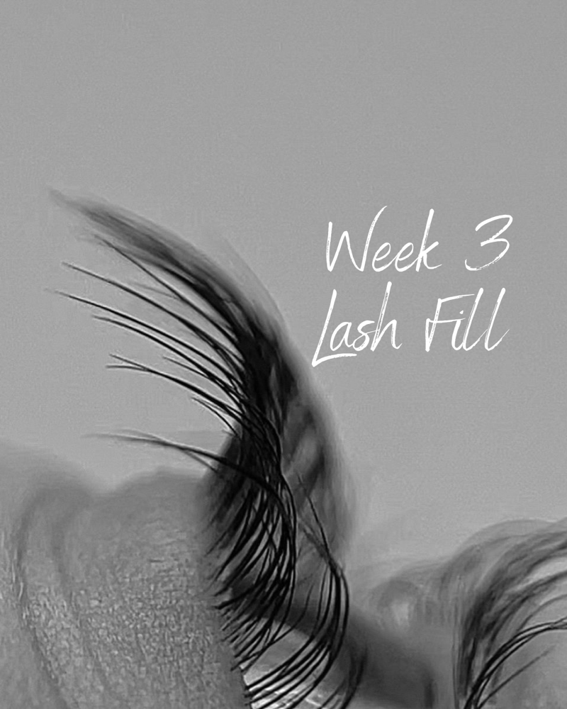 Week 3 Lash Fill at Landin Smith in Asheville, NC