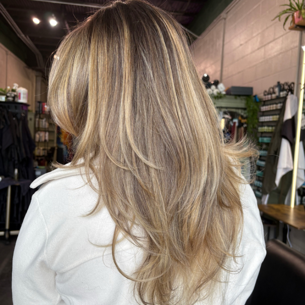Retouch Partial, Cut & Style at Hair by Lyss in Grove City, OH