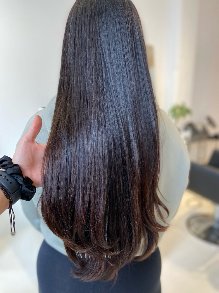 SALON • Root TouchUp/Single Process