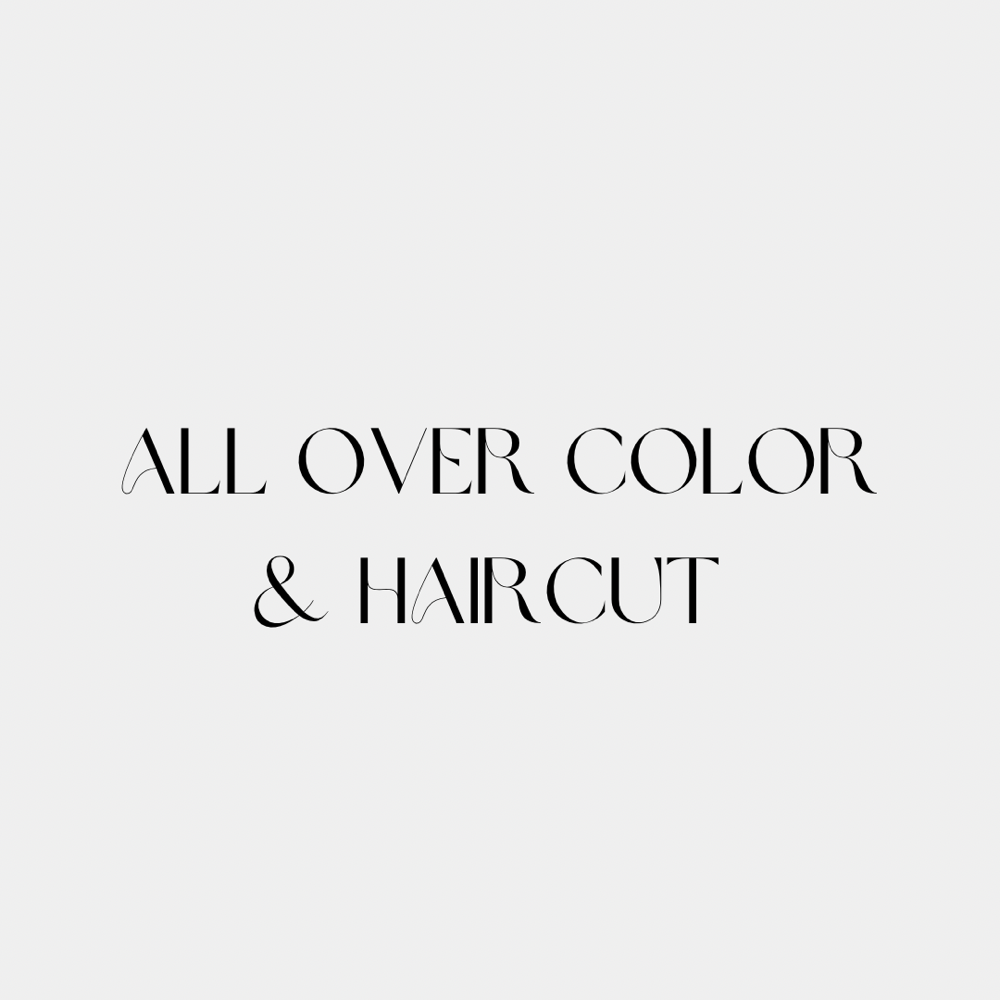 All Over Color + Haircut